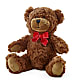 Adorable Plush Bear – Alum Rock Florist, San Jose CA