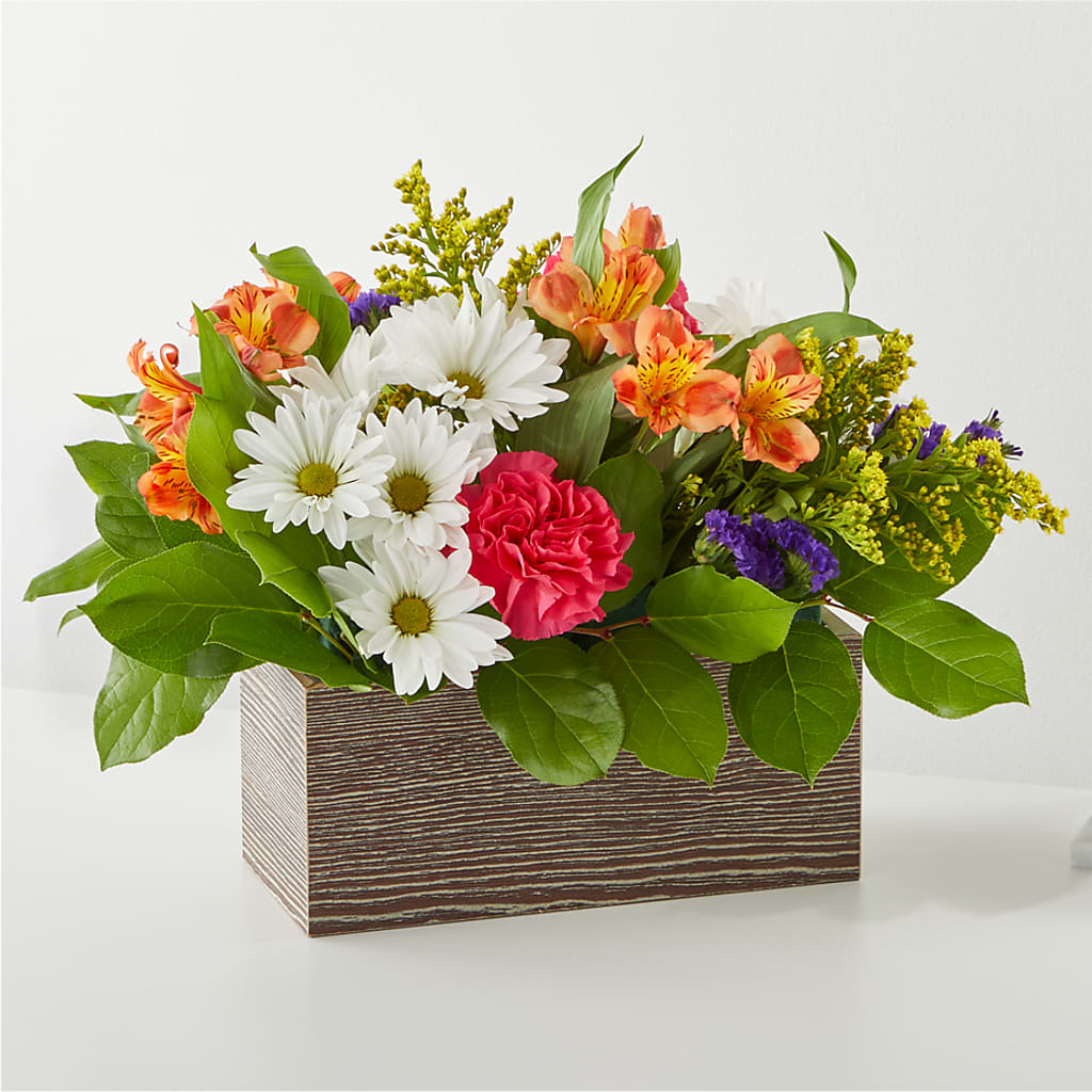 Oopsie Daisy Box Bouquet – Alum Rock Florist, San Jose CA