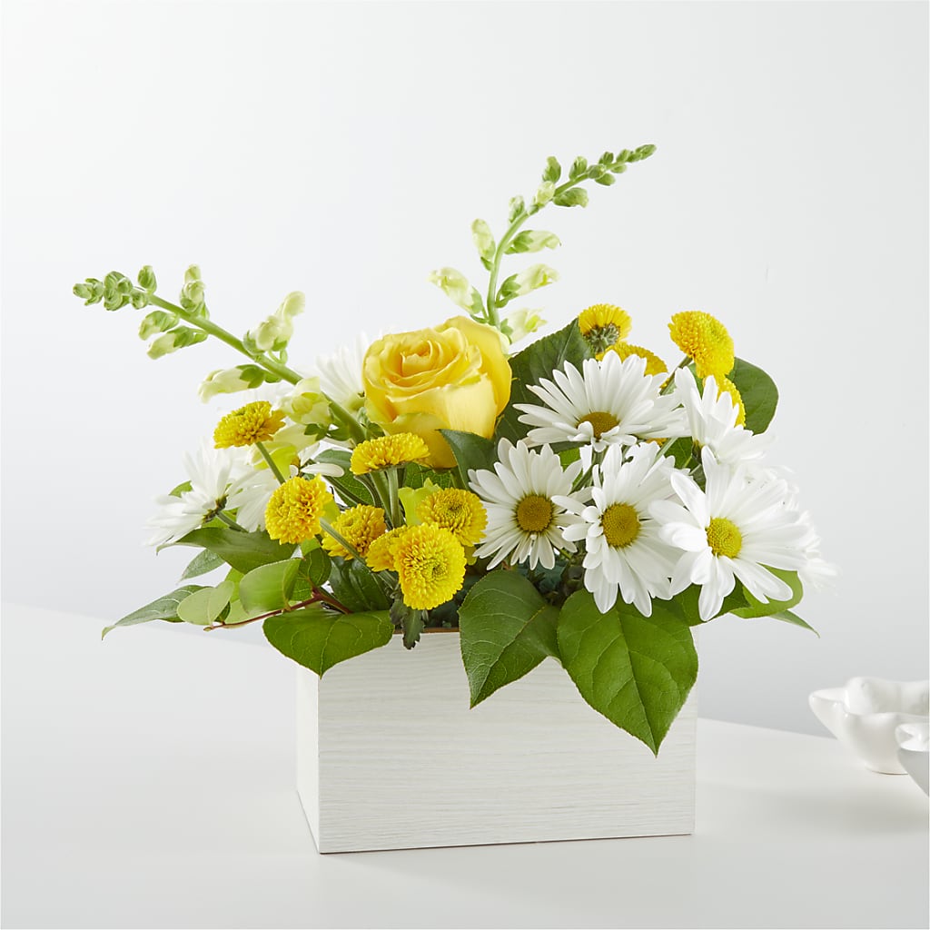 Sun Salutation Box Bouquet – Alum Rock Florist, San Jose CA