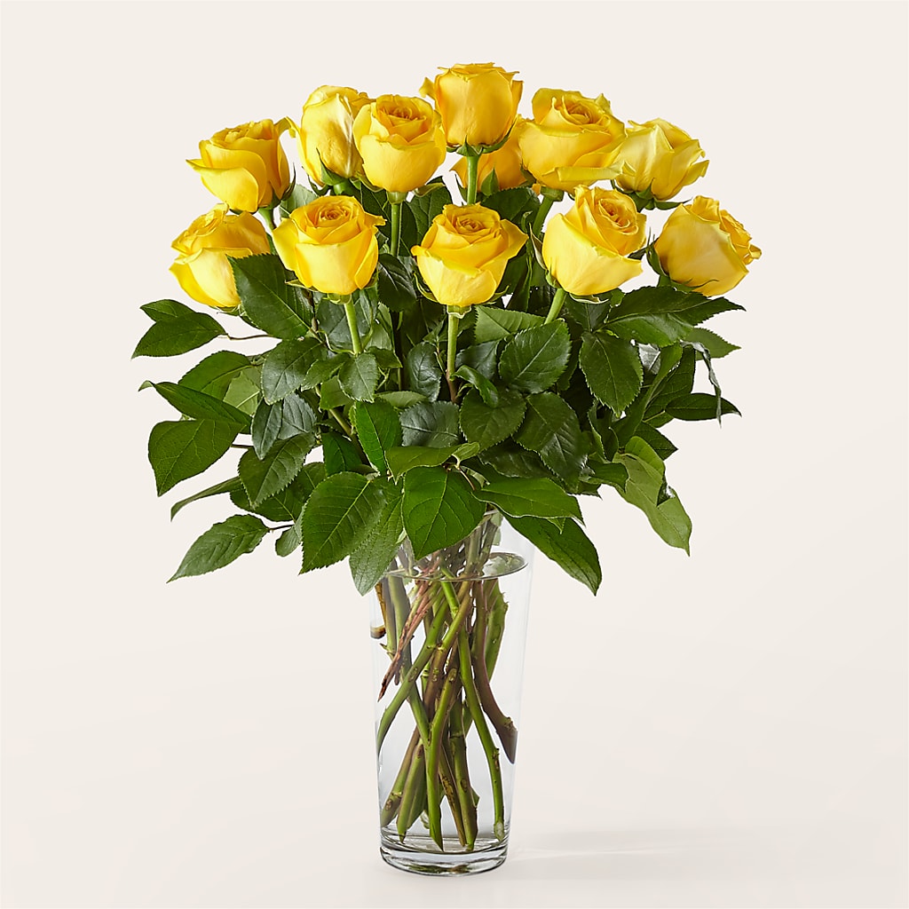Long Stem Yellow Rose Bouquet – Alum Rock Florist, San Jose CA