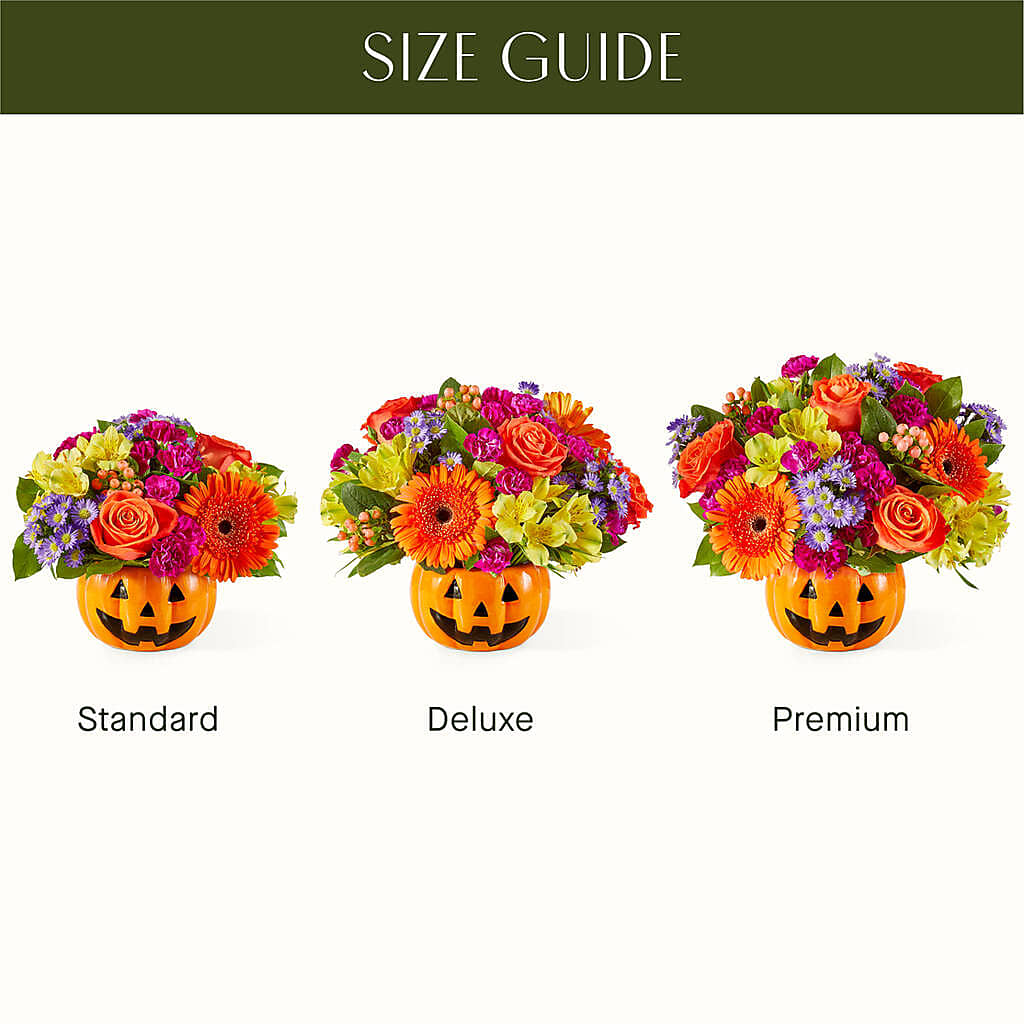 Tricks & Treats Pumpkin – Alum Rock Florist, San Jose CA