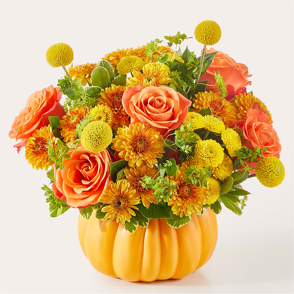 Gourdgeous Pumpkin – Alum Rock Florist, San Jose CA