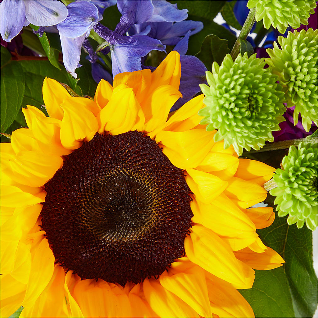 Catching Rays Bouquet – Alum Rock Florist, San Jose CA