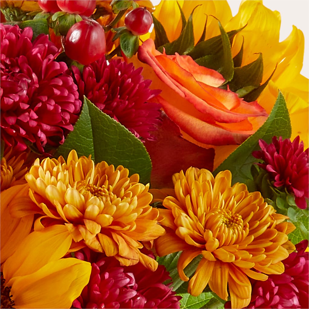 Sweater Season - A Florist Original – Alum Rock Florist, San Jose CA