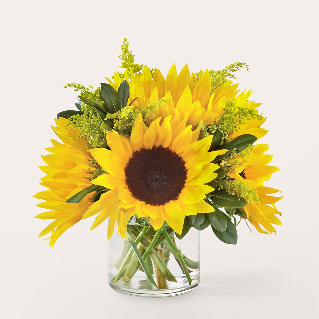 Beaming Sunflower Bouquet – Alum Rock Florist, San Jose CA