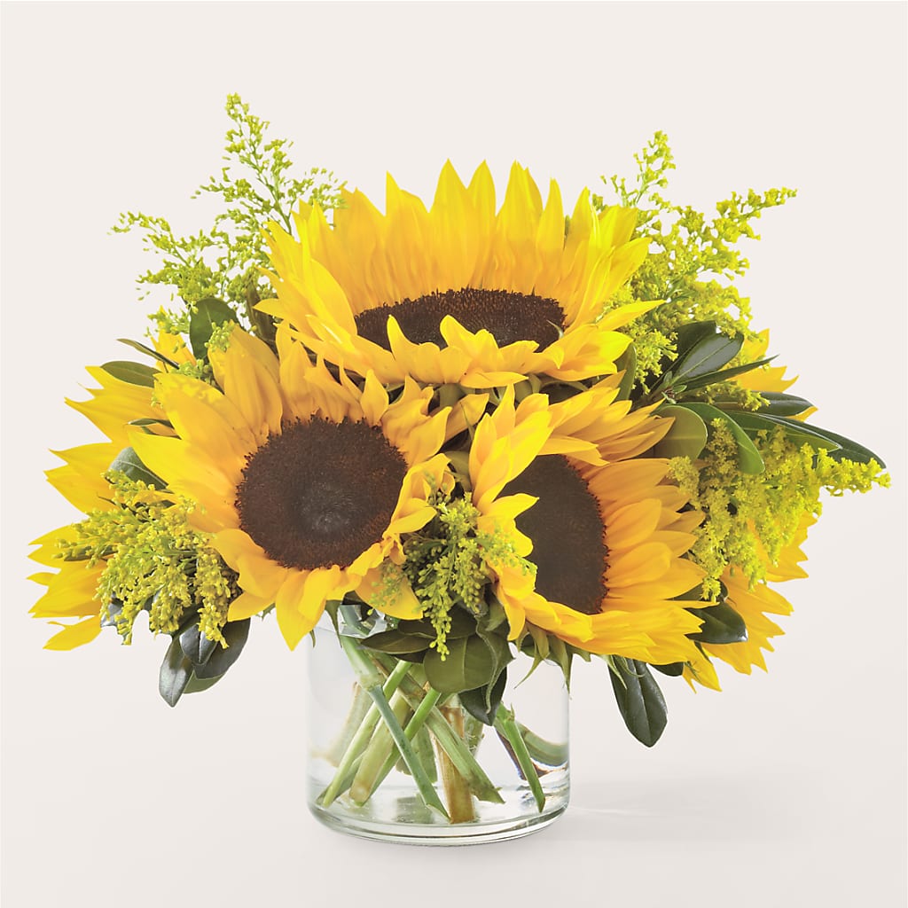 Beaming Sunflower Bouquet – Alum Rock Florist, San Jose CA