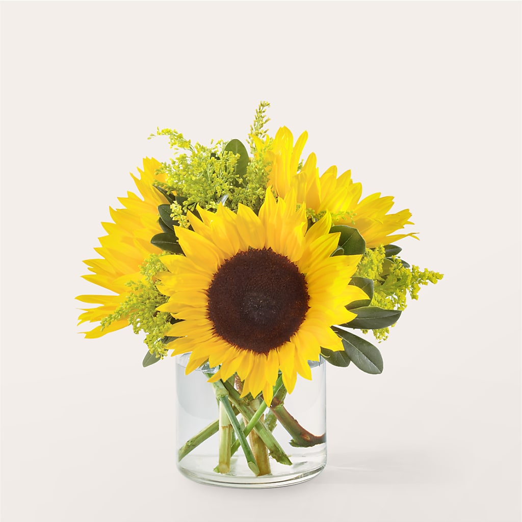 Beaming Sunflower Bouquet – Alum Rock Florist, San Jose CA