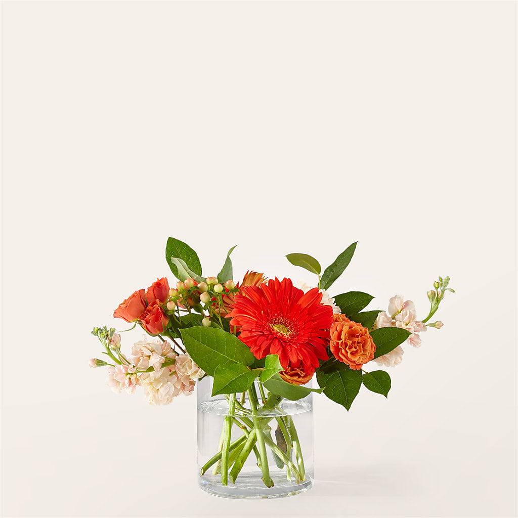 Paloma Please Bouquet – Alum Rock Florist, San Jose CA
