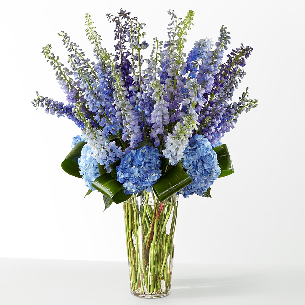 The Editorial – Alum Rock Florist, San Jose CA