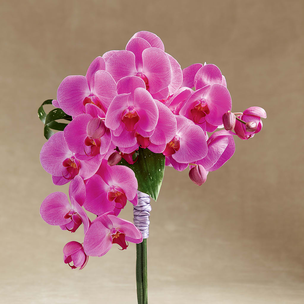 Glorious Bouquet – Alum Rock Florist, San Jose CA