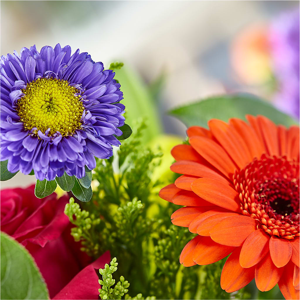 Bold & Bright – A Florist Original –  Alum Rock Florist, San Jose CA