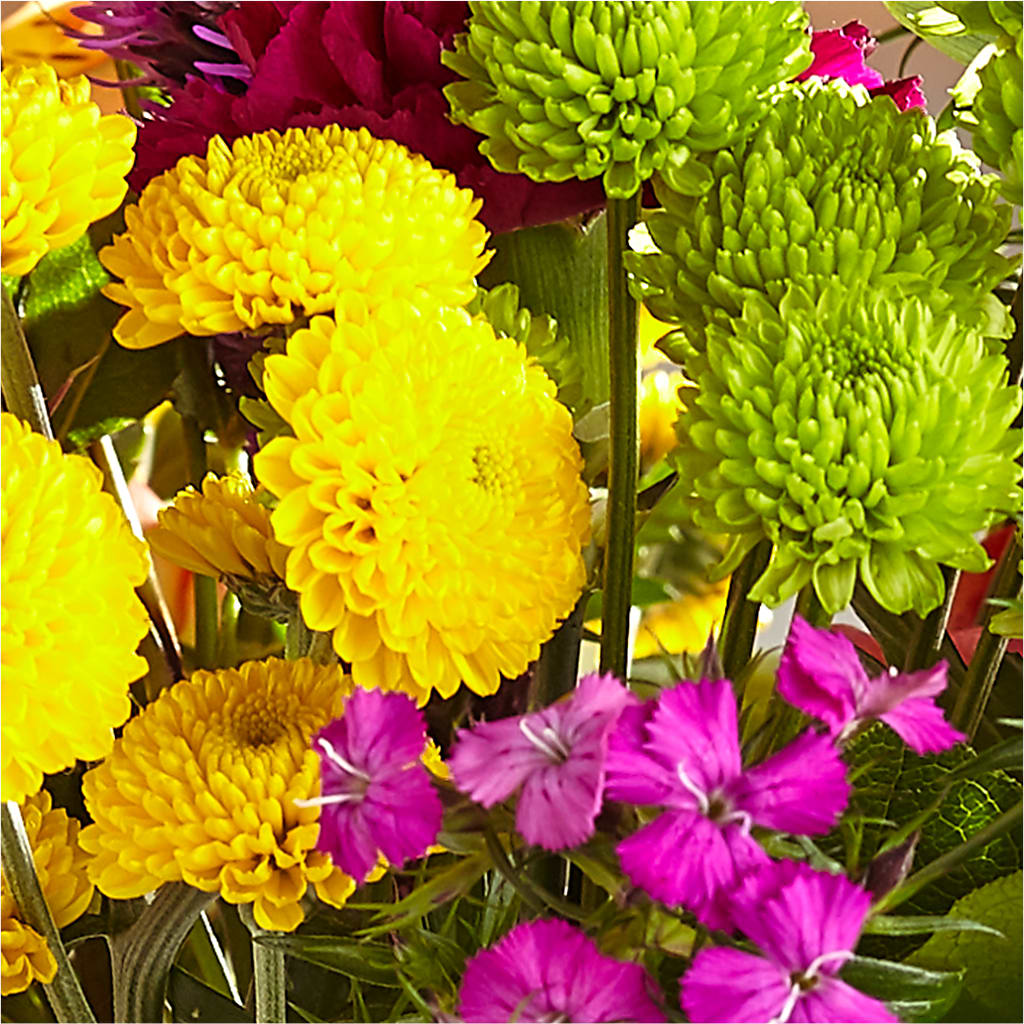 Bold & Bright – A Florist Original –  Alum Rock Florist, San Jose CA