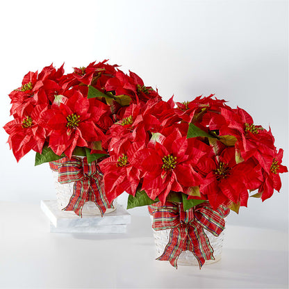 Happiest Holidays Poinsettia Bundle –  Alum Rock Florist, San Jose CA