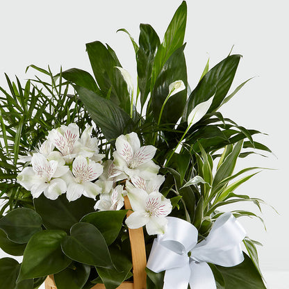 Peace & Serenity Dishgarden –  Alum Rock Florist, San Jose CA