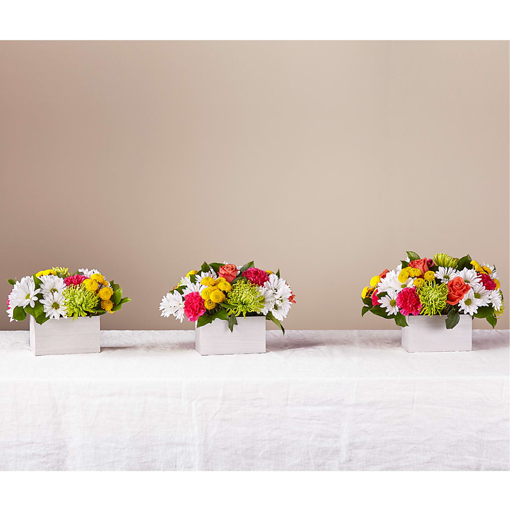 Sorbet Bouquet –  Alum Rock Florist, San Jose CA