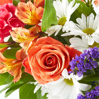 Oopsie Daisy Box Bouquet –  Alum Rock Florist, San Jose CA