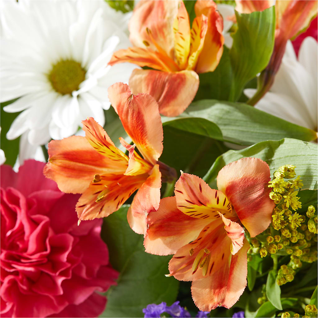 Oopsie Daisy Box Bouquet –  Alum Rock Florist, San Jose CA