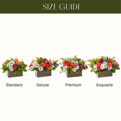 Oopsie Daisy Box Bouquet –  Alum Rock Florist, San Jose CA