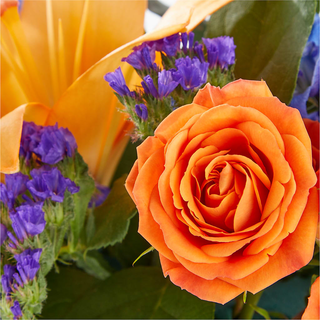 Radiant Citrus Box Bouquet –  Alum Rock Florist, San Jose CA