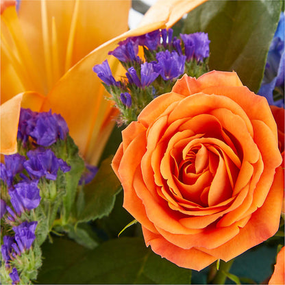 Radiant Citrus Box Bouquet –  Alum Rock Florist, San Jose CA