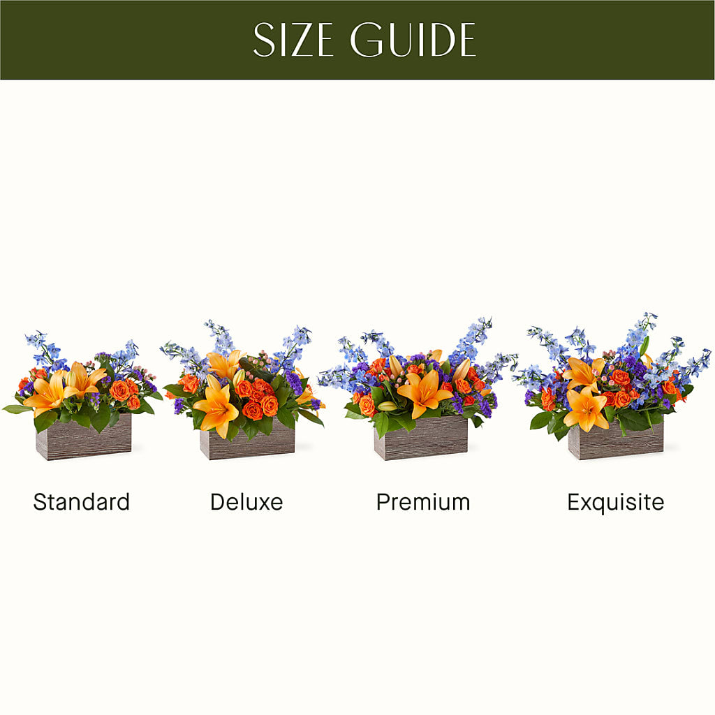 Radiant Citrus Box Bouquet –  Alum Rock Florist, San Jose CA