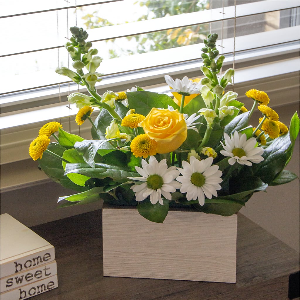 Sun Salutation Box Bouquet –  Alum Rock Florist, San Jose CA