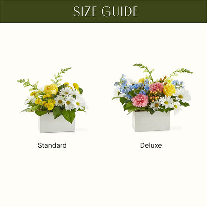 Sun Salutation Box Bouquet –  Alum Rock Florist, San Jose CA
