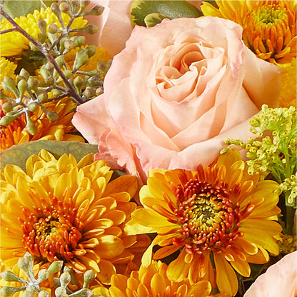 Peachy Pumpkin –  Alum Rock Florist, San Jose CA