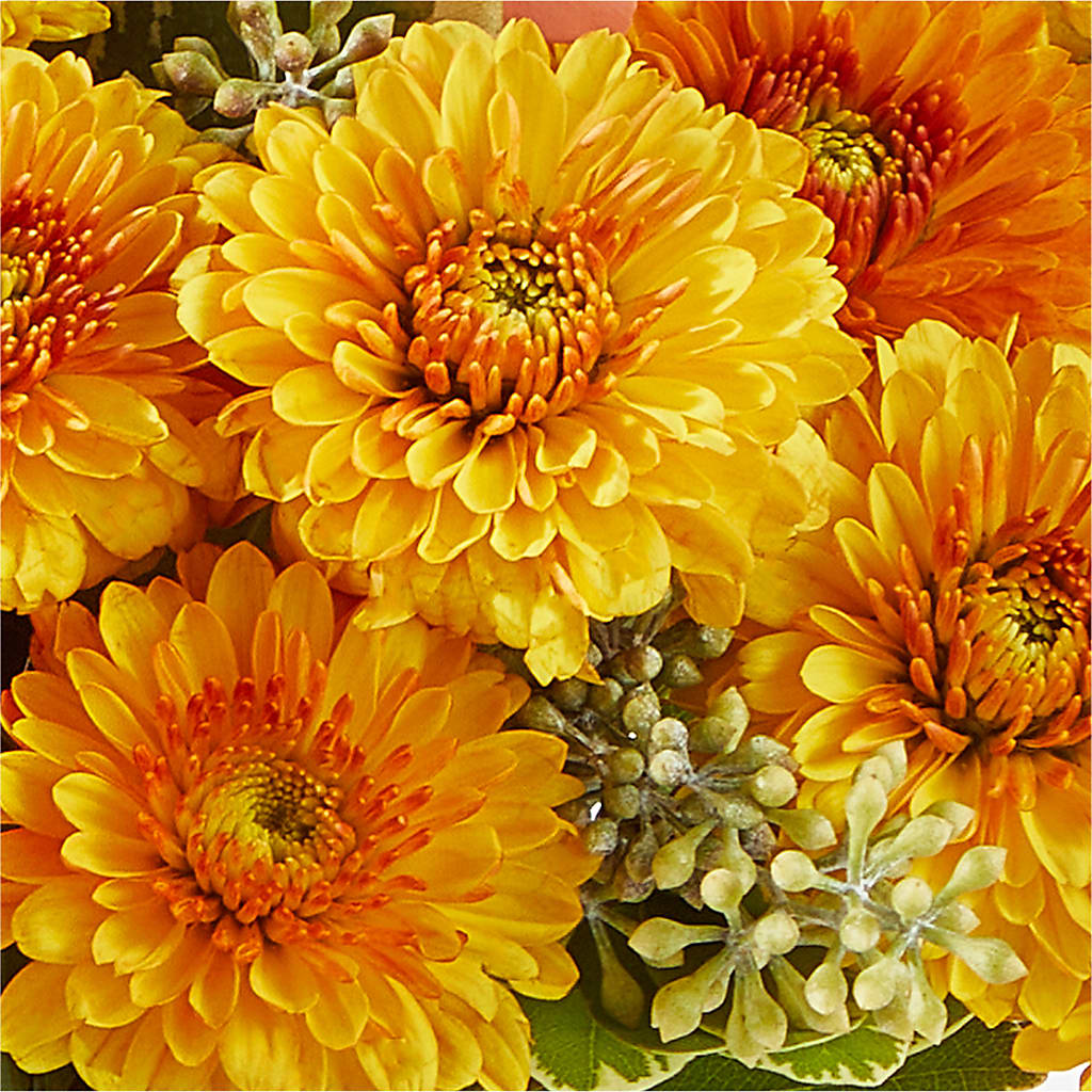 Peachy Pumpkin –  Alum Rock Florist, San Jose CA