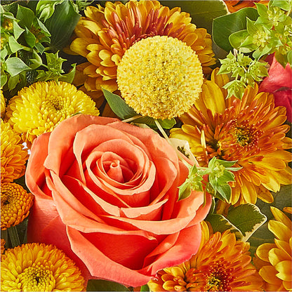 Gourdgeous Pumpkin –  Alum Rock Florist, San Jose CA