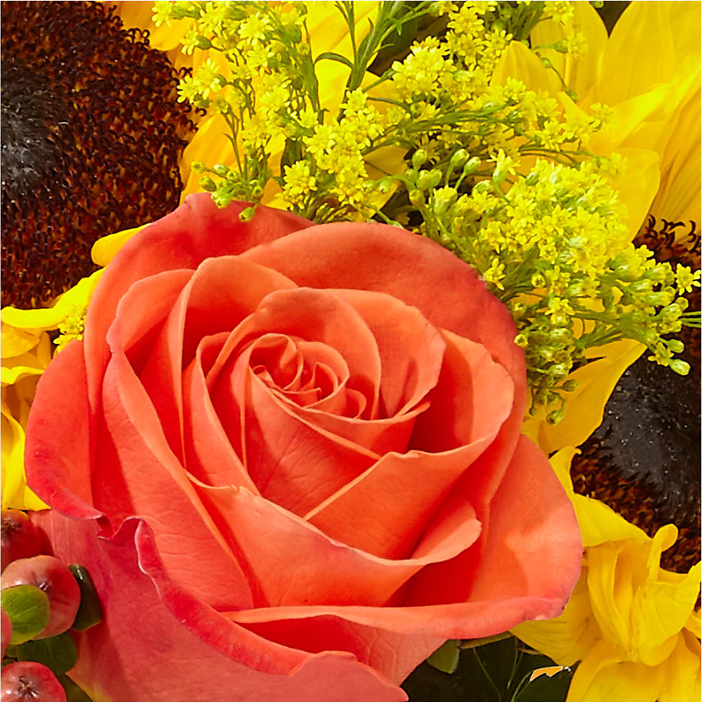 Pick of the Patch Pumpkin Bouquet –  Alum Rock Florist, San Jose CA