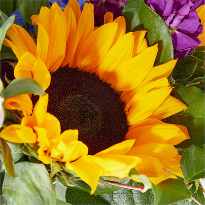 Catching Rays Bouquet –  Alum Rock Florist, San Jose CA