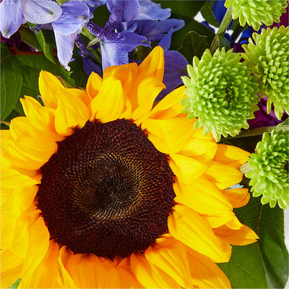Catching Rays Bouquet –  Alum Rock Florist, San Jose CA