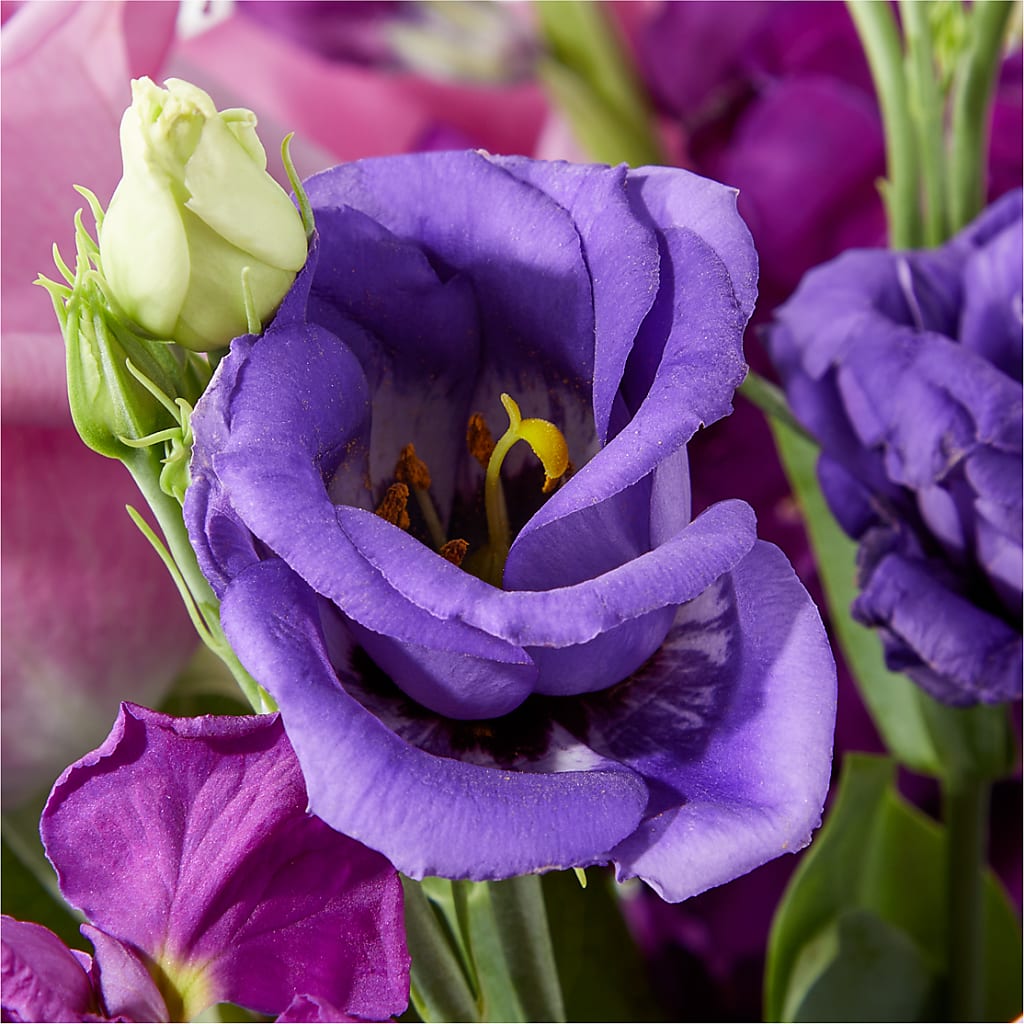Twilight Glow Bouquet –  Alum Rock Florist, San Jose CA