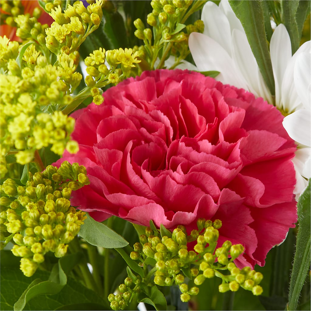 Oopsie Daisy Bouquet –  Alum Rock Florist, San Jose CA