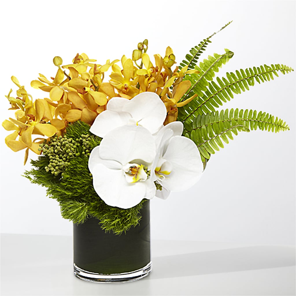 The Tropics –  Alum Rock Florist, San Jose CA