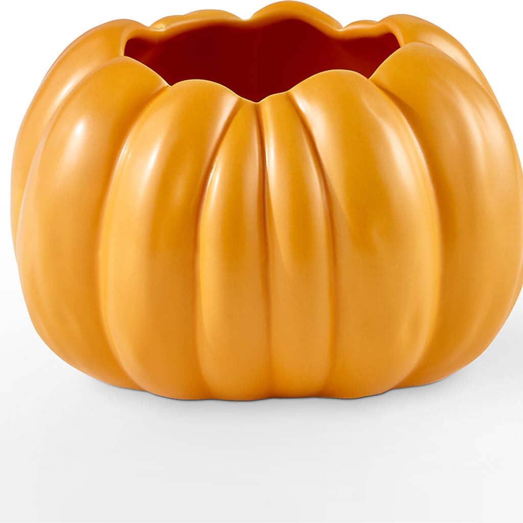 Golden Gourd Pumpkin Bouquet –  Alum Rock Florist, San Jose CA