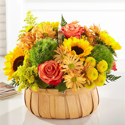 Harvest Sunflower Basket –  Alum Rock Florist, San Jose CA