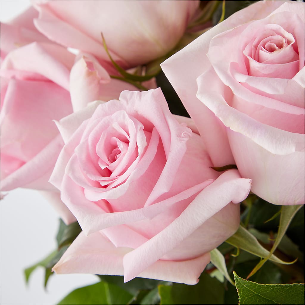 Picture Perfect Pink Rose Bouquet –  Alum Rock Florist, San Jose CA