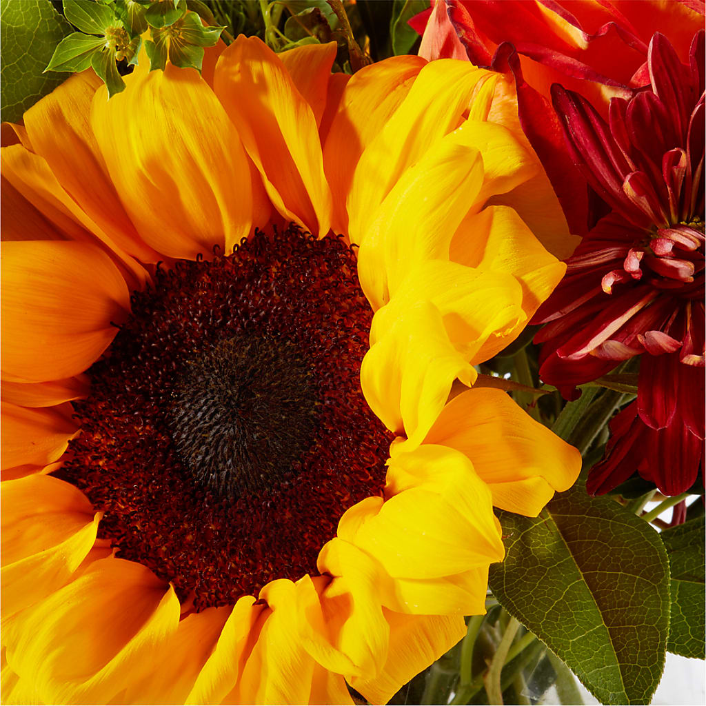 Harvest Festival Bouquet –  Alum Rock Florist, San Jose CA
