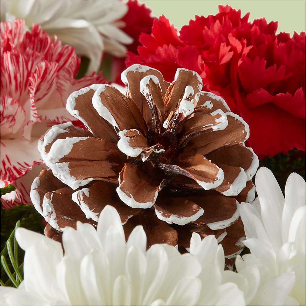 Candy Cane Lane Bouquet –  Alum Rock Florist, San Jose CA