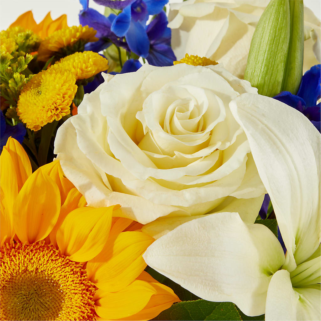 Stargazing Bouquet –  Alum Rock Florist, San Jose CA