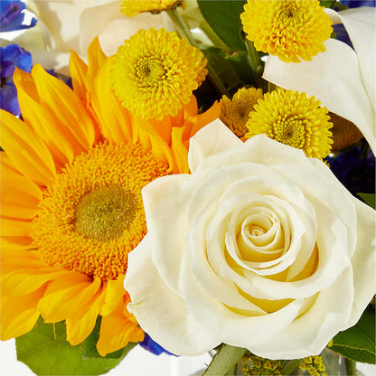 Stargazing Bouquet –  Alum Rock Florist, San Jose CA