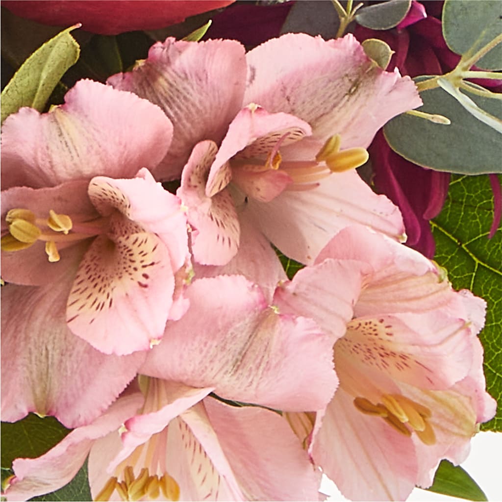 Berry Cobbler Bouquet –  Alum Rock Florist, San Jose CA