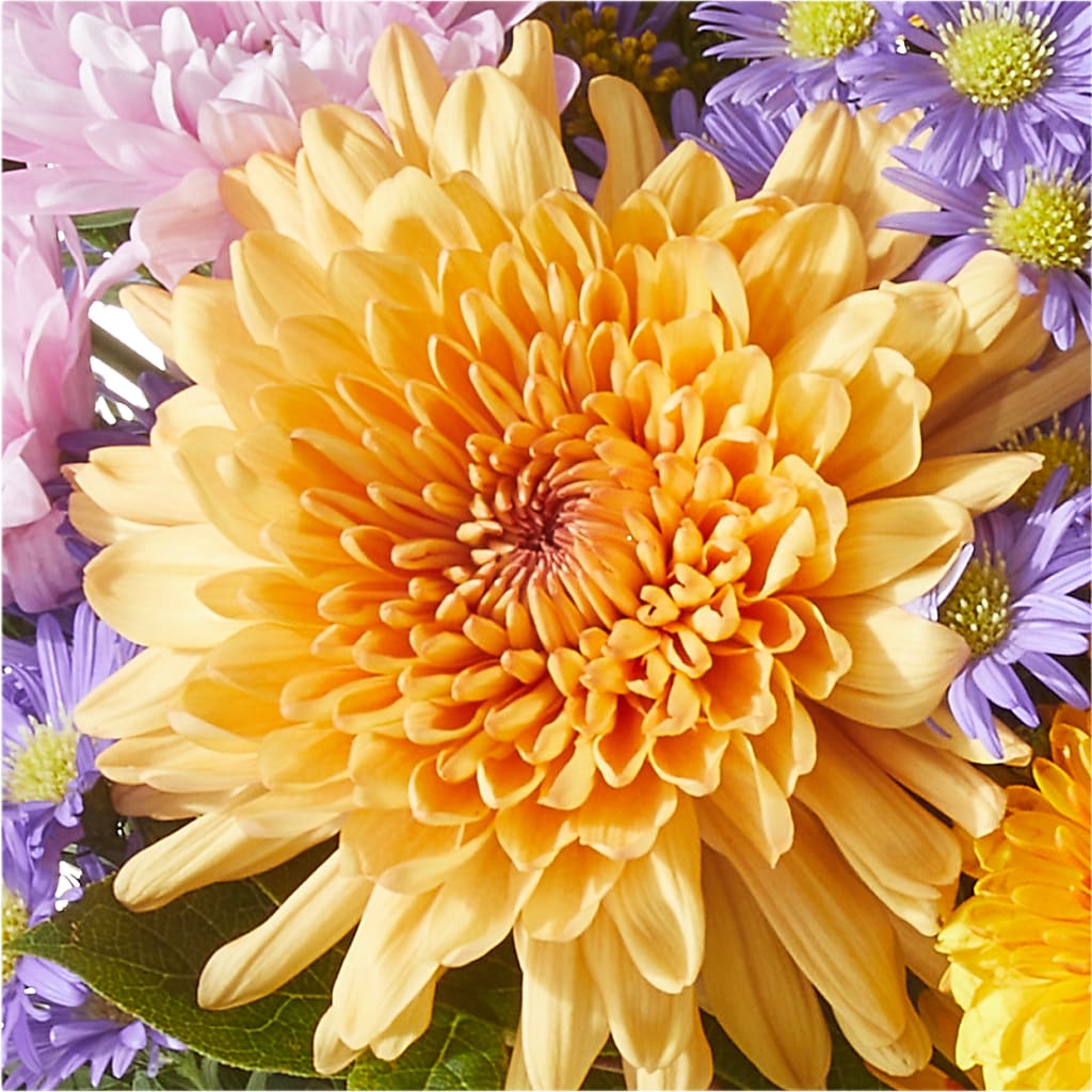 Countryside Bouquet –  Alum Rock Florist, San Jose CA