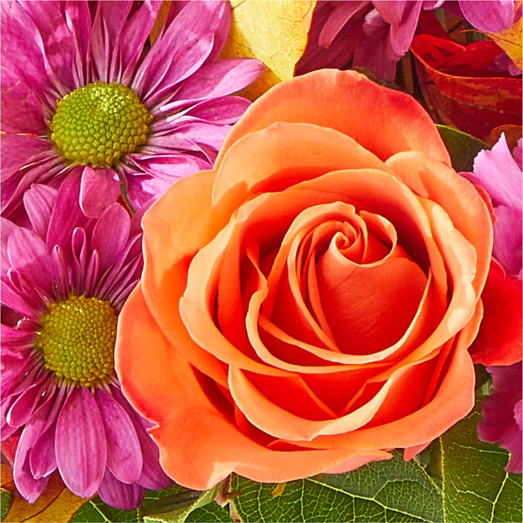 Mum's the Word Bouquet –  Alum Rock Florist, San Jose CA