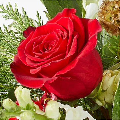 Deck the Halls Bouquet –  Alum Rock Florist, San Jose CA