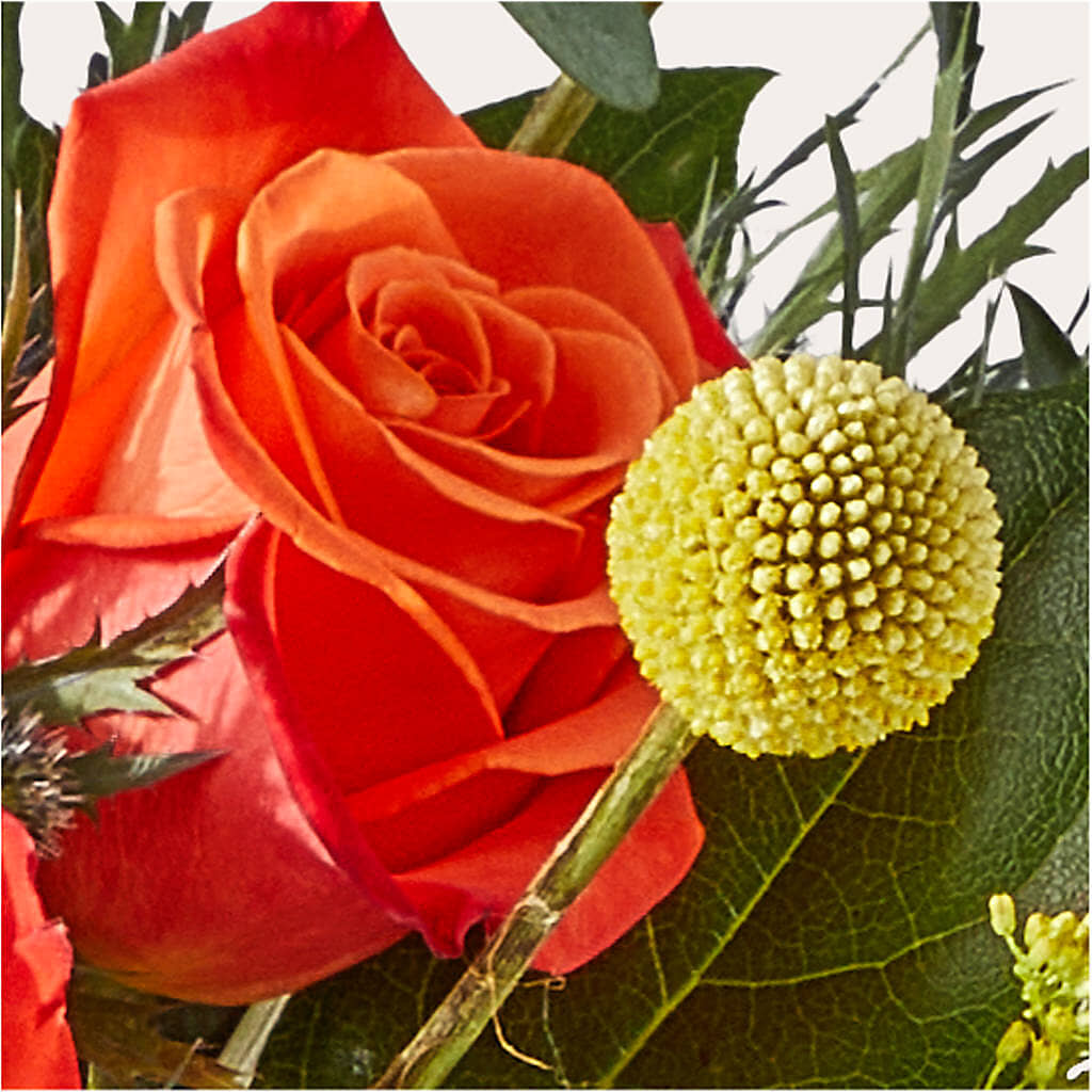 Disco Bouquet –  Alum Rock Florist, San Jose CA