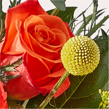 Disco Bouquet –  Alum Rock Florist, San Jose CA