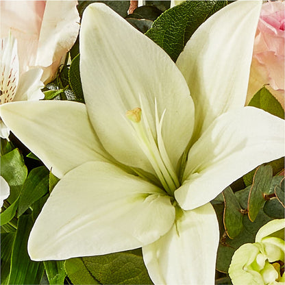 Ballet Slippers Bouquet –  Alum Rock Florist, San Jose CA